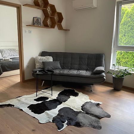 Hexagon Apartman Segedin Dış mekan fotoğraf